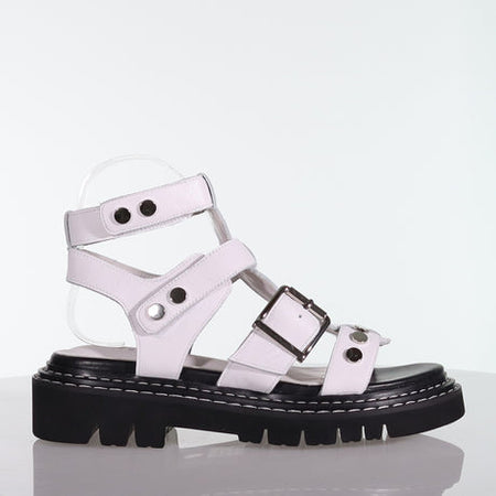 Hailey Sneaker - Croc / Silver